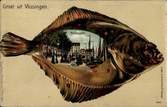 Fish Chromo-Litho Vlissingen Zeeland Netherlands, Nieuwendijk