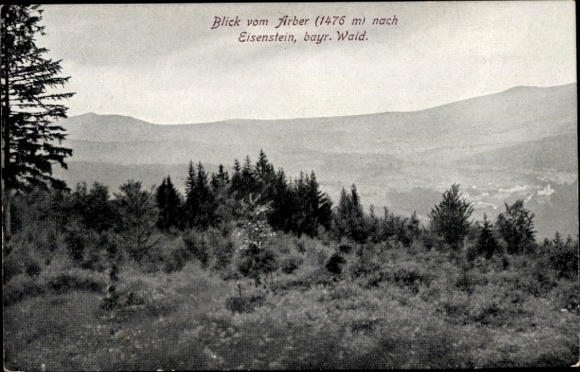 Ak Bayerisch Eisenstein in Niederbayern, Panorama, Blick vom Arber