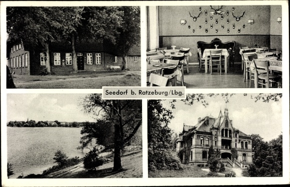 Postcard Seedorf in Schleswig Holstein, inn and boarding house, Schaalsee