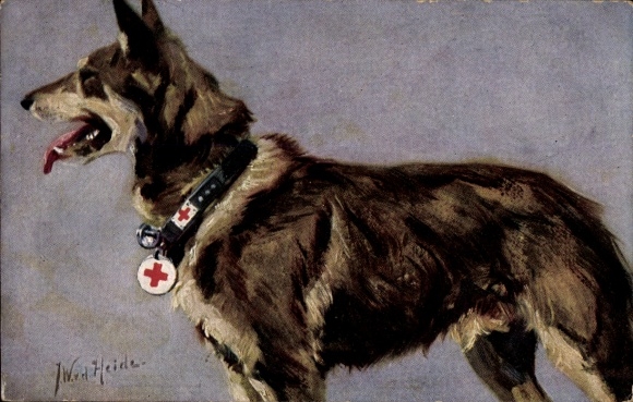 Kunstenaar Ak vd Heide, JW, medische hond, Duitse herder