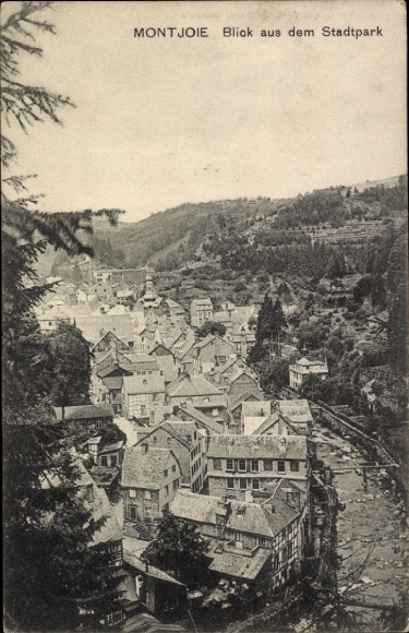 Ak Monschau Montjoie in der Eifel, Blick aus dem Stadtpark,  Stadtansicht, malerische Häuser, Nat