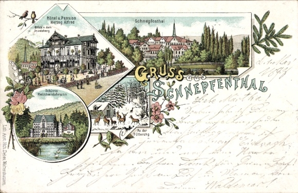  Litho Schnepfenthal Rödichen Waltershausen, Hotel Herzog Alfred, Schloss Reinhardsbrunn