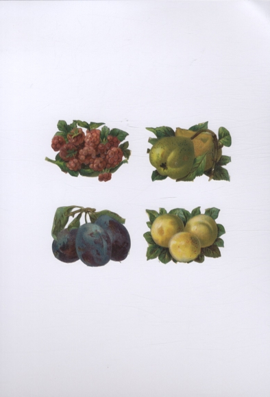 4 Oblaten Beeren, Birnen, Pflaumen, je ca. 4 x 6 cm