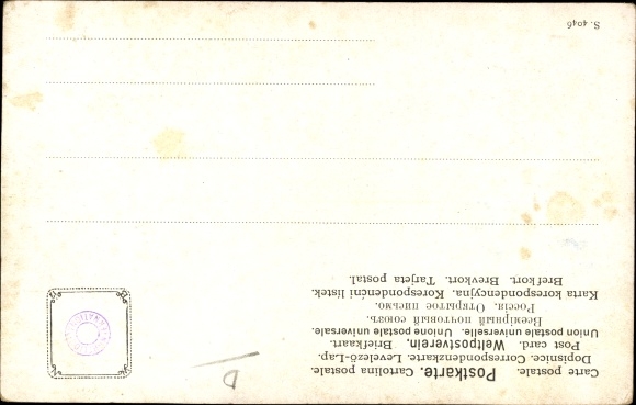 Artist Postcard Müller, M., Wild boar in nature