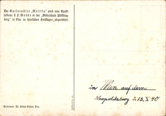 Postcard bird, imperial eagle, animal portrait