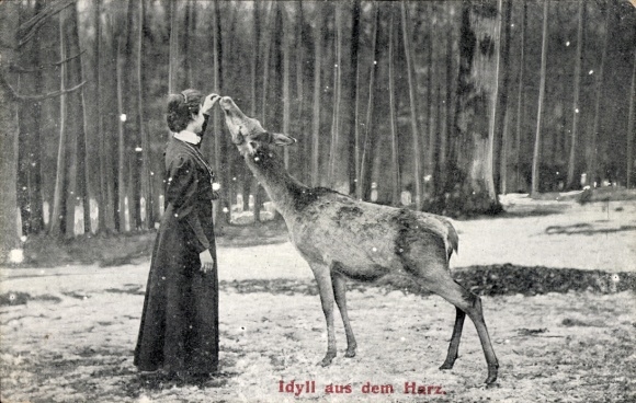 Ak Idyll aus dem Harz, Frau füttert Hirsch