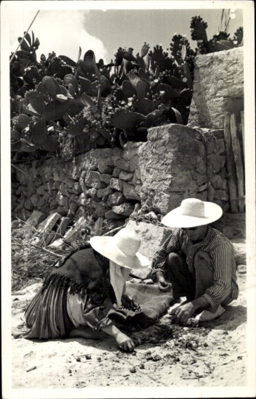 Ak Ibiza Balearische Inseln, Traditionelle Bauern, Kaktus hinterm Mauer, Fotografische Aufnahme