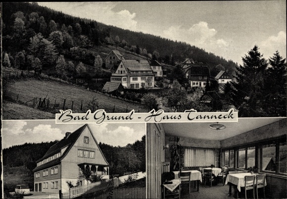 Ak Bad Grund im Harz, Pension Haus Tanneck, Sonnenbadweg 11