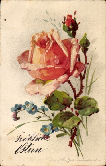 Artist Postcard Klein, C., Blooming Rose, Buds