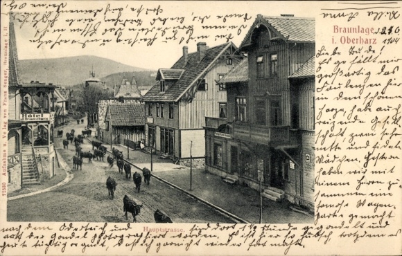 Postcard Braunlage in the Upper Harz, front view with street view, houses, cows, mountains
