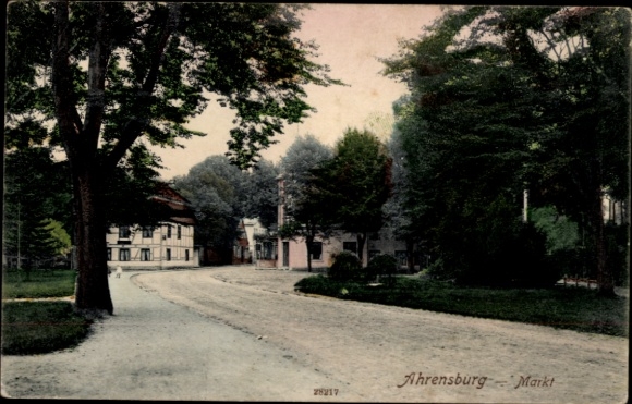 Ak Ahrensburg in Holstein, Markt