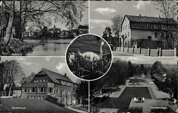 Postcard Reinfeld in Holstein, gardens, garden shed, town hall, spa home