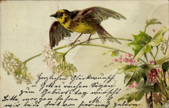 Chromo-Litho Sparrow, Blooming Flowers, Bird
