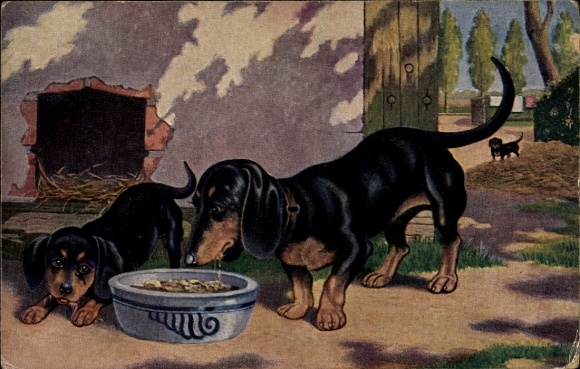 Postcard Two Dachshunds Eating