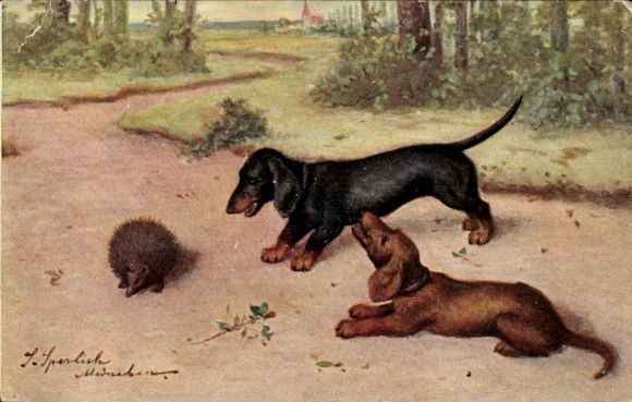Künstler Ak Sperlich, Zwei Dackel und ein Igel