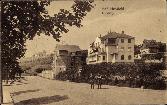 Postcard Bad Hersfeld Hessen, vineyard, street section, residential buildings