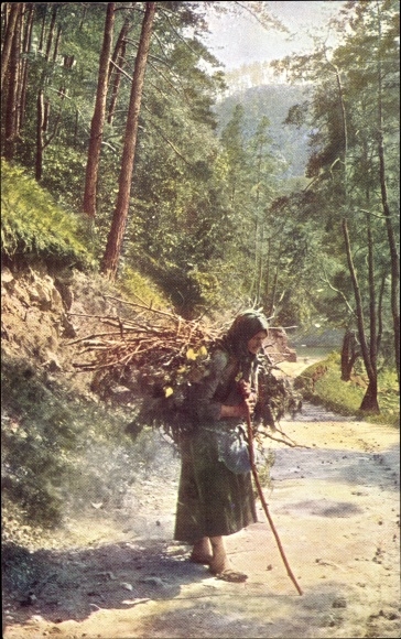 Pocztówka Dolna Austria, w Lesie Wiedeńskim, zbieracz drewna