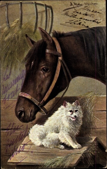 Künstler Litho Müller, A., Pferd und Spitz, Freundschaft