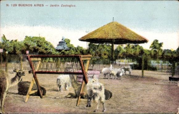 Postcard Buenos Aires Argentina, Zoological Garden