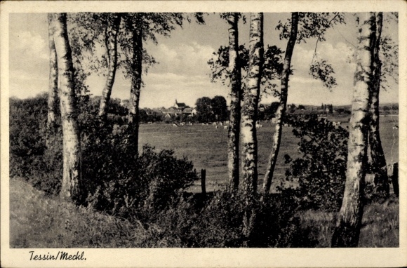 Postcard Tessin in Mecklenburg, Panorama, Birken