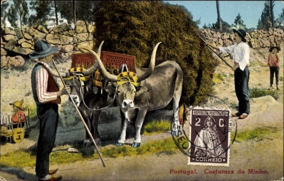 Postcard Portugal, costumes from Minho, men in Portuguese costume, ox cart