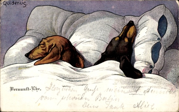 Artist Postcard Quidenus, Fritz, marriage of convenience, dachshund in bed