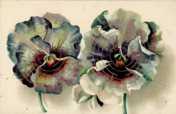 Mechanical Postcard Congratulations New Year, pansies