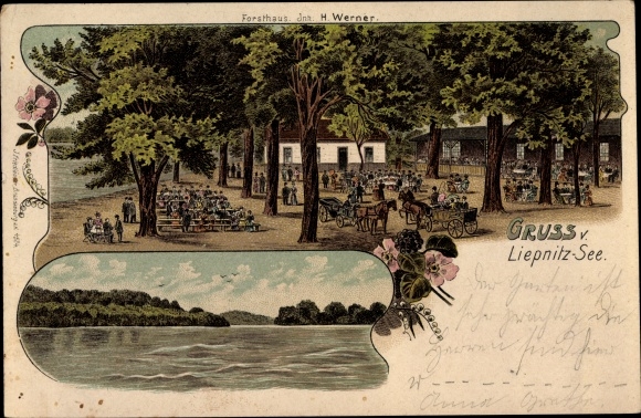 Chromo-Litho Wandlitz in Brandenburg, Liepnitzsee, Forsthaus, owner H. Werner