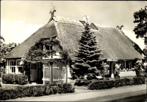 Postcard Ostseebad Müritz Graal-Müritz, old country house, thatched roof, trees, flowering shrubs, street, S...