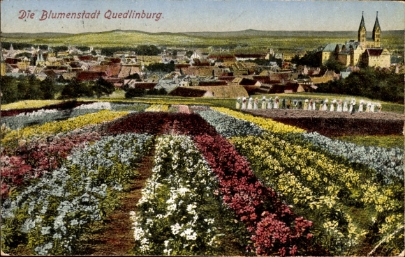 Postcard Quedlinburg im Harz, view of flower beds and the city