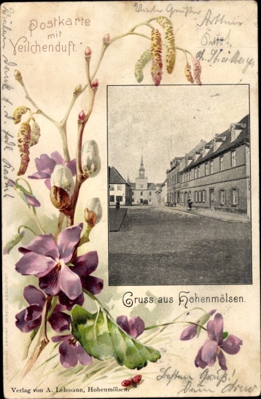Litho Hohenmölsen in Sachsen Anhalt, Straßenpartie, Veilchen, Weidenkätzchen