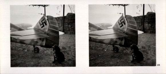 Stereo spatial image photo flying and winning No. 39, victory sign on the tail unit. Hunting machine v. Mölders