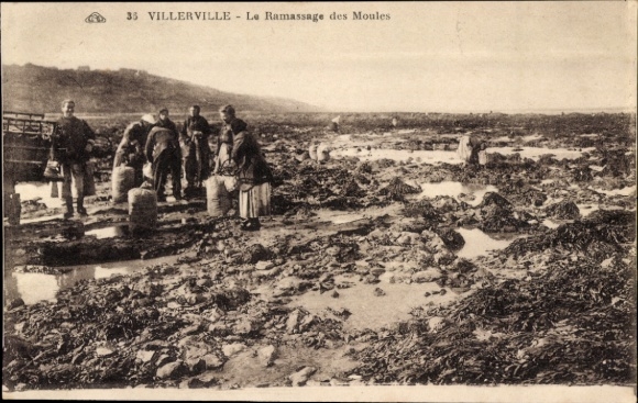 PC Villerville Calvados, shell collector