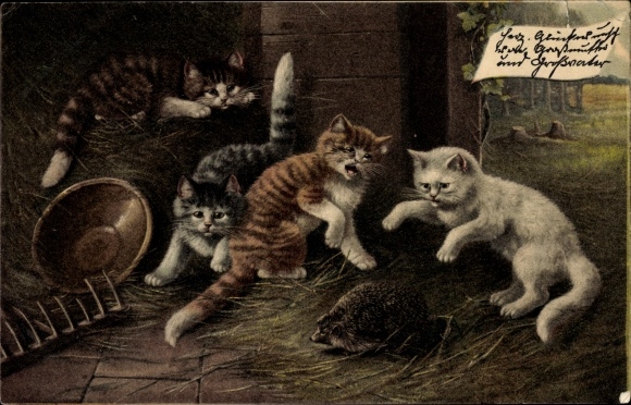 Chromo-Litho Young cats play with a hedgehog