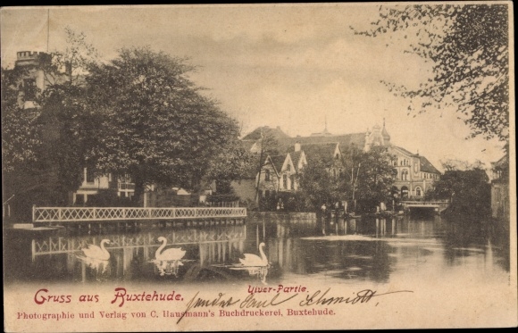 Postcard Buxtehude in Lower Saxony, river section with swans
