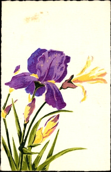 Hand painted Postcard Iris and yellow flowers