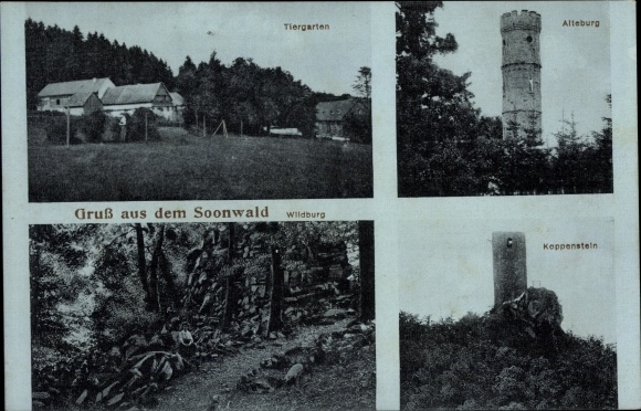 Postcard Soonwald Hunsrück Forsth. Thiergarten Argenthal, Koppenstein Henau, Alteburg, Wildburg Sargenroth