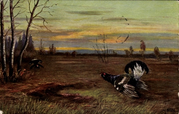Artist Postcard hunting motif, black grouse, landscape at dusk