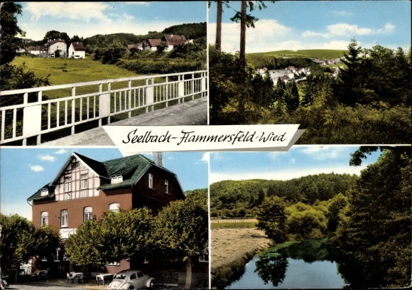 Ansichtkaart Seelbach in het Westerwald, Gasthof Pension Ramseger, stadsgezichten