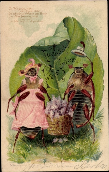 Chromo-Litho congratulations Pentecost, two cockchafers with lilac