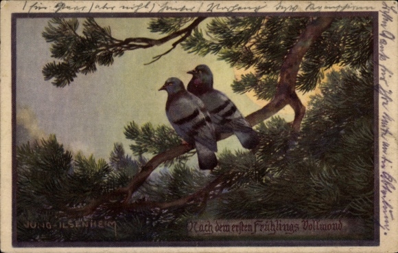 Künstler Ak Jung-Ilsenheim, Franz, Nach dem ersten Frühlings Vollmond