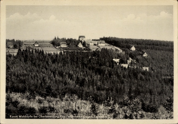 Ak Waldidylle Altenberg im Erzgebirge, Teilansicht