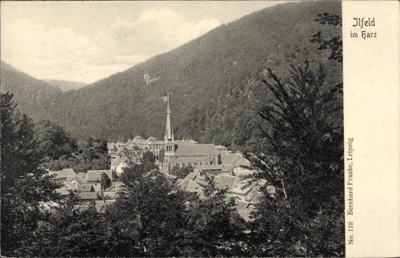Ak Ilfeld am Harz Thüringen, Teilansicht