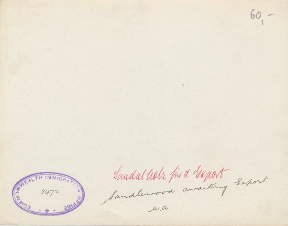 Photo Australia, sandalwood for export, railroad