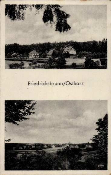 Ak Friedrichsbrunn Thale im Harz, Gesamtansicht