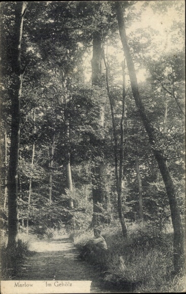 Postcard Marlow in Mecklenburg, In the Woods