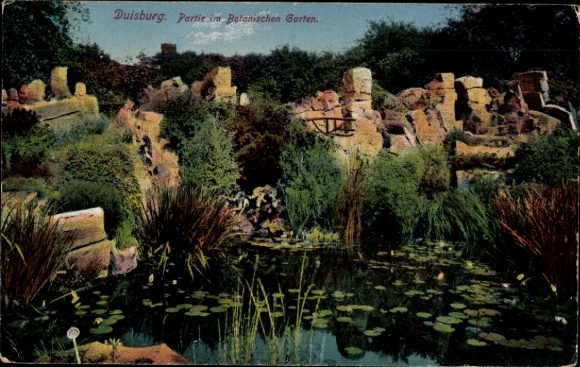 KP Duisburg w Zagłębiu Ruhry, Ogród Botaniczny, rośliny, powierzchnia wody, skały