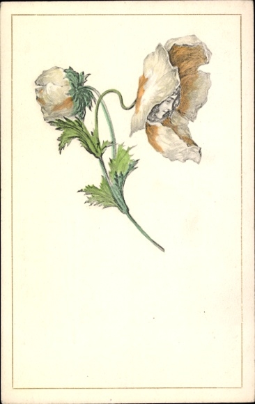 Art Nouveau Postcard portrait of a Woman in a Flower