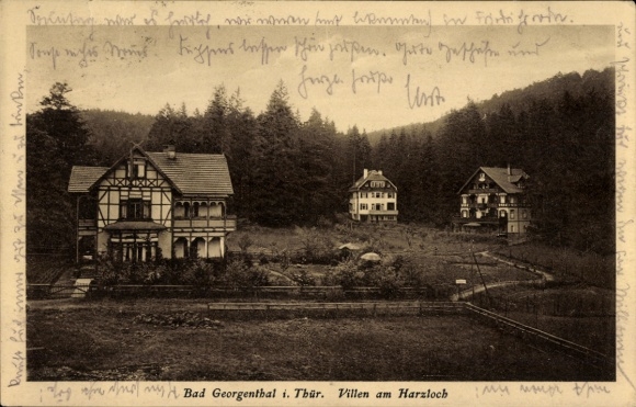 Ak Georgenthal in Thüringen, Villen an der Harzloch