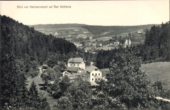 Ak Hartmannsbach Bad Gottleuba in Saksen, uitzicht vanaf Bartmannsbach, landschap, gebouwen, bos